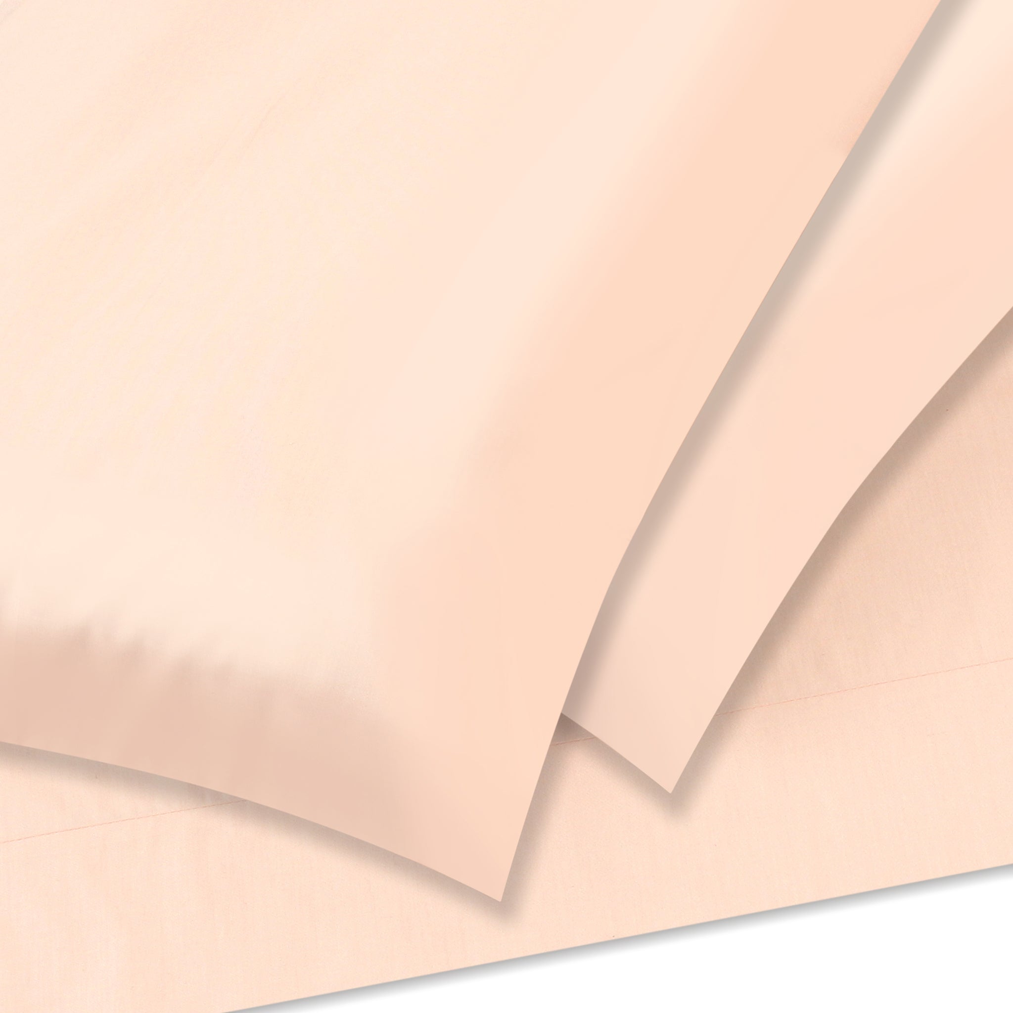 Powder Rose Flat Sheet + Pillowcases (350 TC)