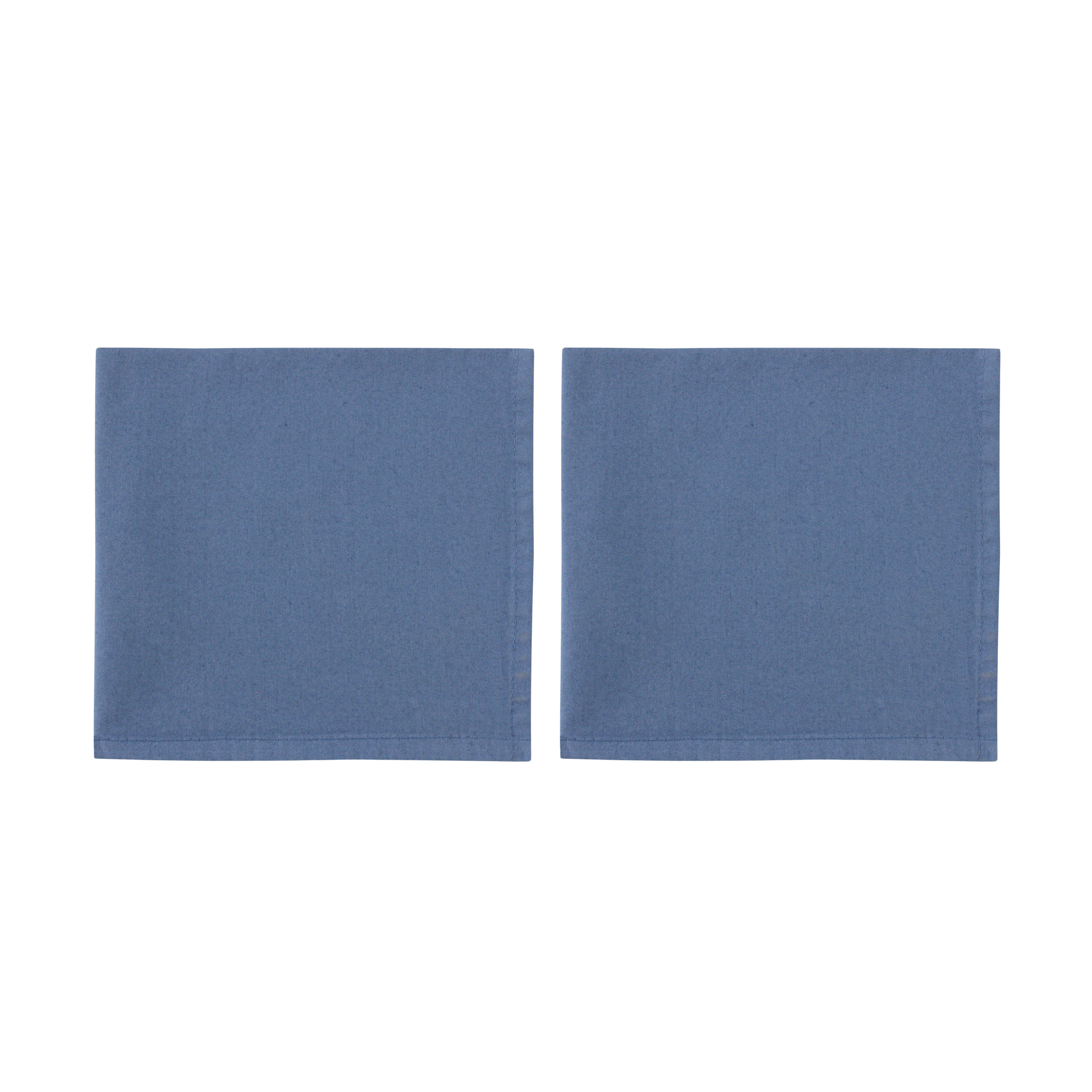 Blue Cotton Napkins (Set of 2)