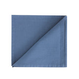 Blue Cotton Napkins (Set of 2)