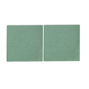 Pistachio Cotton Napkins (Set of 2)