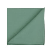 Pistachio Cotton Napkins (Set of 2)