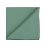Pistachio Cotton Napkins (Set of 2)